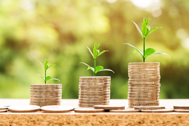 mortgage-investment-corporation